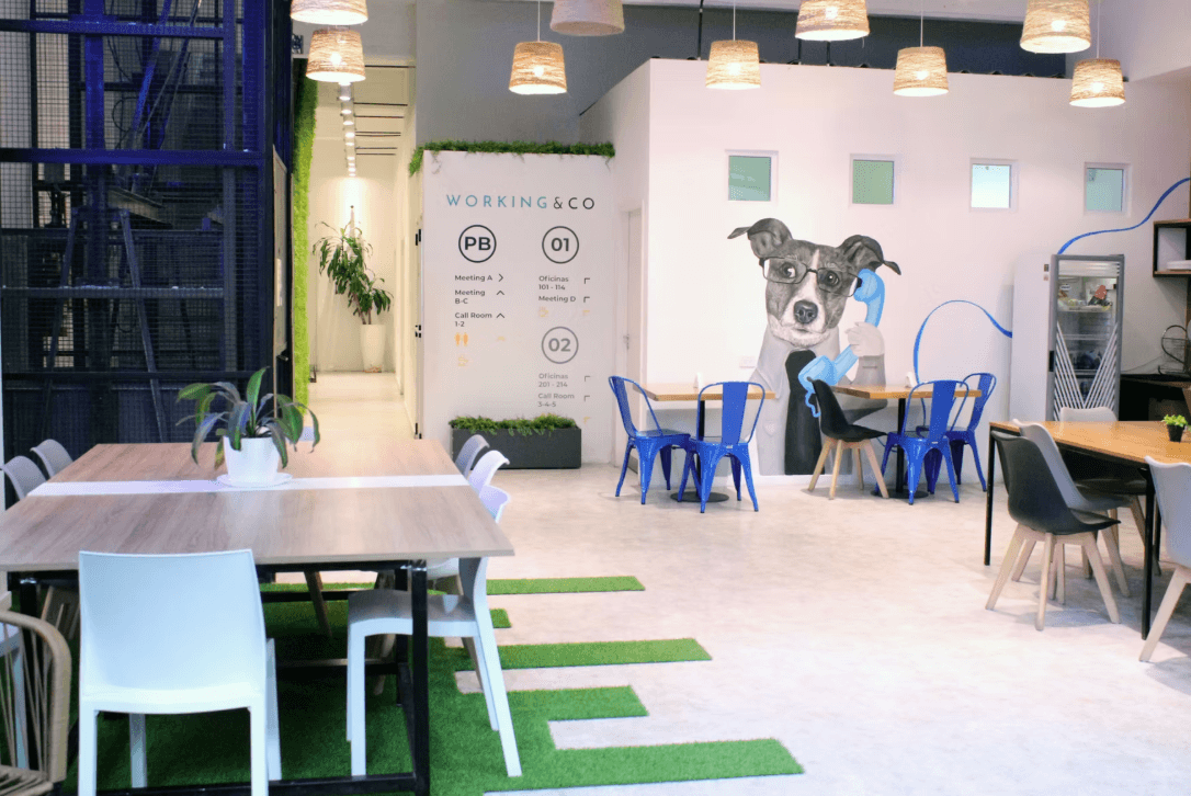 Working & Co Soler - Palermo