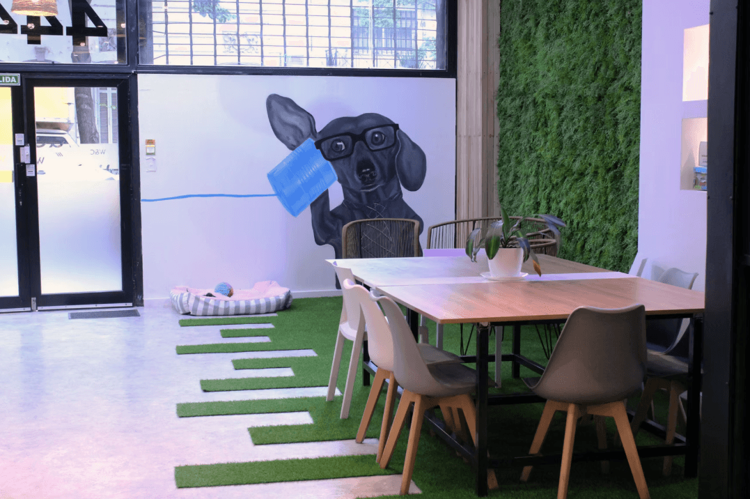 Working & Co Soler - Palermo